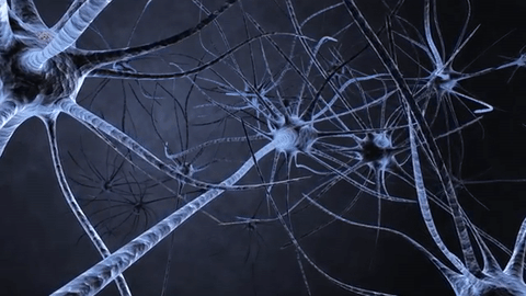Synapse no cérebro